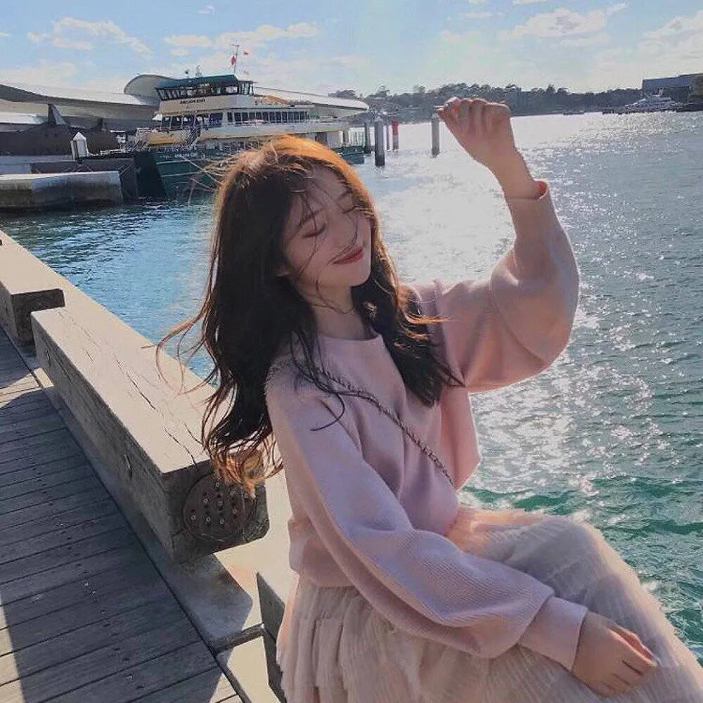 挎斗摩托车里的狗